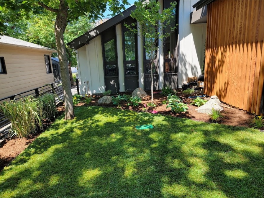 Finished lawn — The finished lawn with boulders, a young tree and a clean mulch bed.