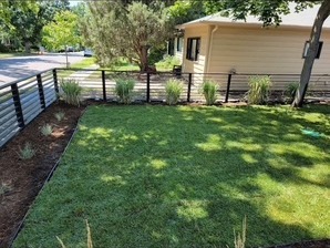 Sod & beds — Sod rolled in tight, beds edged and mulched the same day.