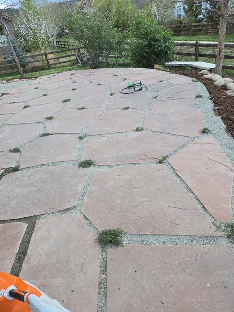 Flagstone — Flagstone patio with creeping groundcover planted into the joints.