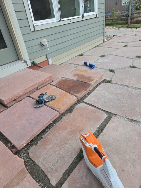 Stone steps — Sandstone steps laid from the door down to the patio.
